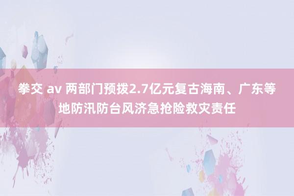 拳交 av 两部门预拨2.7亿元复古海南、广东等地防汛防台风济急抢险救灾责任