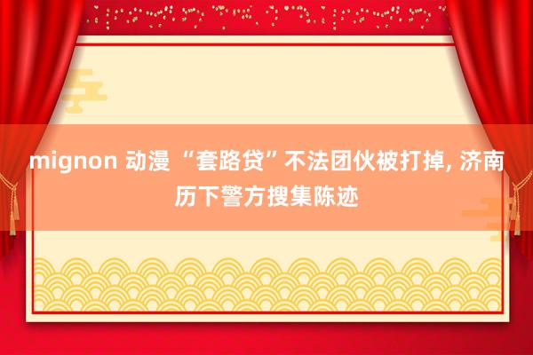 mignon 动漫 “套路贷”不法团伙被打掉， 济南历下警方搜集陈迹