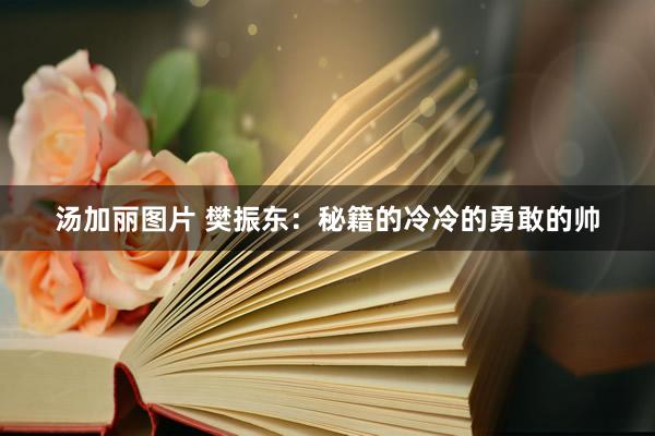 汤加丽图片 樊振东:秘籍的冷冷的勇敢的帅