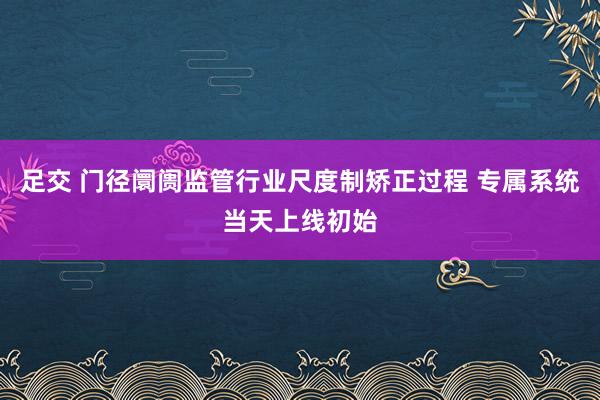 足交 门径阛阓监管行业尺度制矫正过程 专属系统当天上线初始