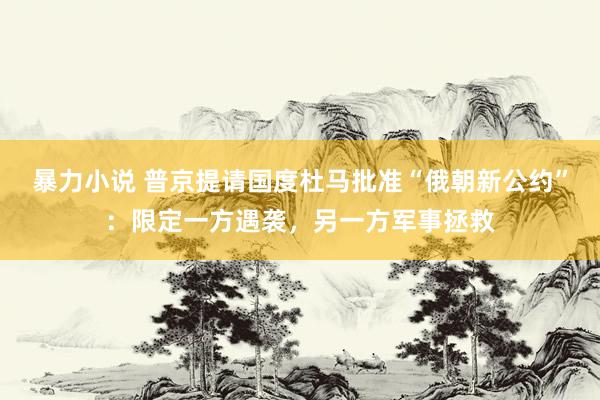 暴力小说 普京提请国度杜马批准“俄朝新公约”：限定一方遇袭，另一方军事拯救