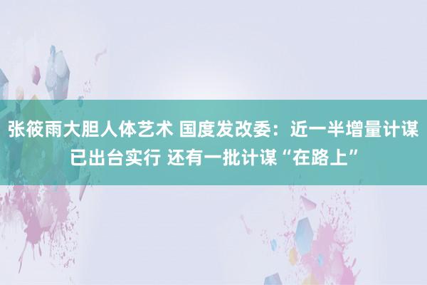 张筱雨大胆人体艺术 国度发改委:近一半增量计谋已出台实行 还有一批计谋“在路上”