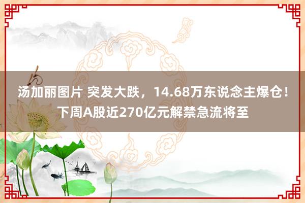 汤加丽图片 突发大跌，14.68万东说念主爆仓！下周A股近270亿元解禁急流将至