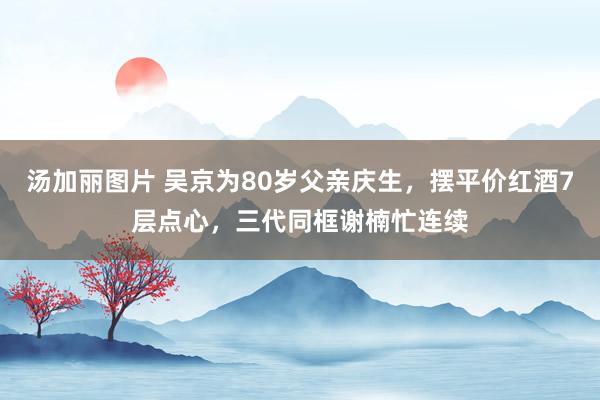 汤加丽图片 吴京为80岁父亲庆生，摆平价红酒7层点心，三代同框谢楠忙连续