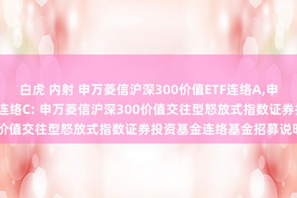 白虎 内射 申万菱信沪深300价值ETF连络A,申万菱信沪深300价值ETF连络C: 申万菱信沪深300价值交往型怒放式指数证券投资基金连络基金招募说明书
