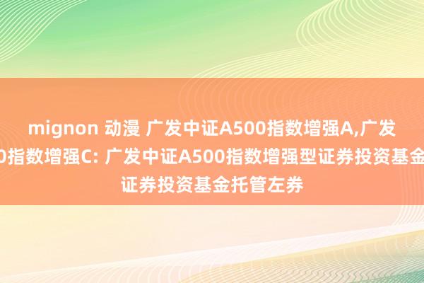 mignon 动漫 广发中证A500指数增强A,广发中证A500指数增强C: 广发中证A500指数增强型证券投资基金托管左券