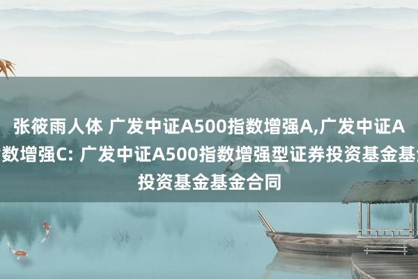 张筱雨人体 广发中证A500指数增强A,广发中证A500指数增强C: 广发中证A500指数增强型证券投资基金基金合同