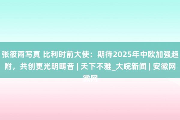 张筱雨写真 比利时前大使：期待2025年中欧加强趋附，共创更光明畴昔 | 天下不雅_大皖新闻 | 安徽网