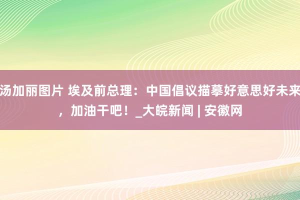 汤加丽图片 埃及前总理：中国倡议描摹好意思好未来，加油干吧！_大皖新闻 | 安徽网