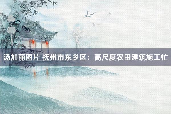 汤加丽图片 抚州市东乡区：高尺度农田建筑施工忙