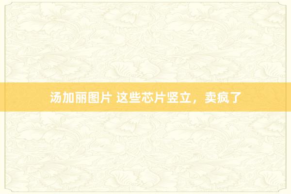 汤加丽图片 这些芯片竖立，卖疯了