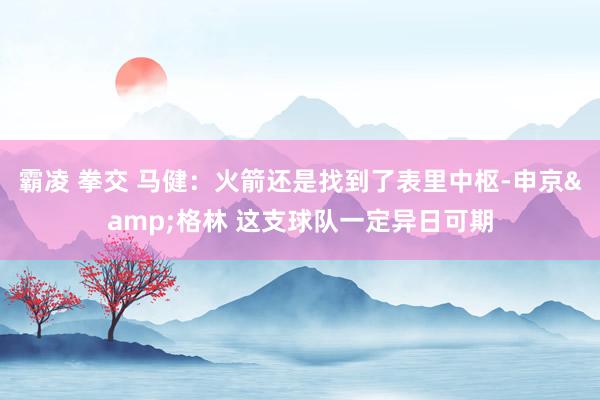 霸凌 拳交 马健：火箭还是找到了表里中枢-申京&格林 这支球队一定异日可期
