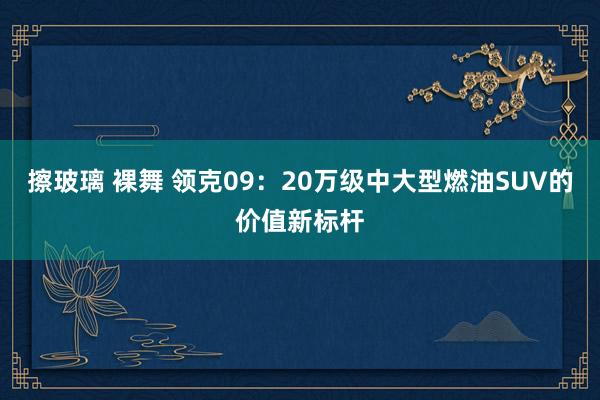擦玻璃 裸舞 领克09：20万级中大型燃油SUV的价值新标杆