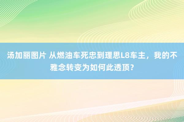 汤加丽图片 从燃油车死忠到理思L8车主，我的不雅念转变为如何此透顶？