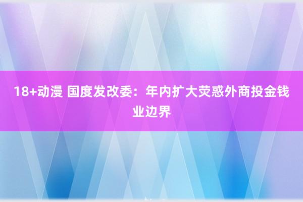 18+动漫 国度发改委：年内扩大荧惑外商投金钱业边界