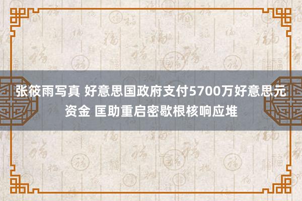 张筱雨写真 好意思国政府支付5700万好意思元资金 匡助重启密歇根核响应堆