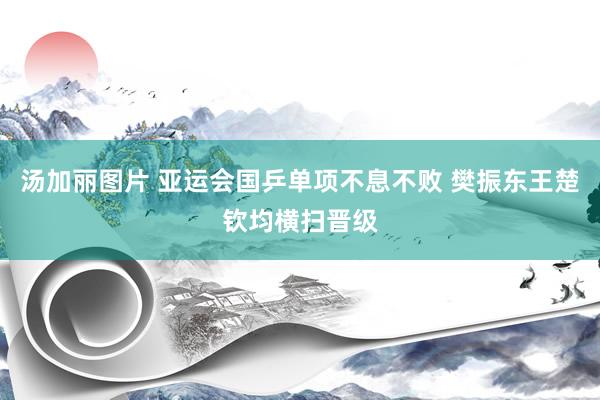 汤加丽图片 亚运会国乒单项不息不败 樊振东王楚钦均横扫晋级