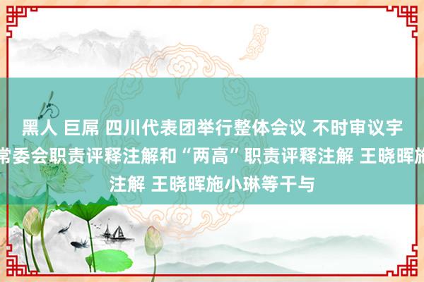 黑人 巨屌 四川代表团举行整体会议 不时审议宇宙东谈主大常委会职责评释注解和“两高”职责评释注解 王晓晖施小琳等干与