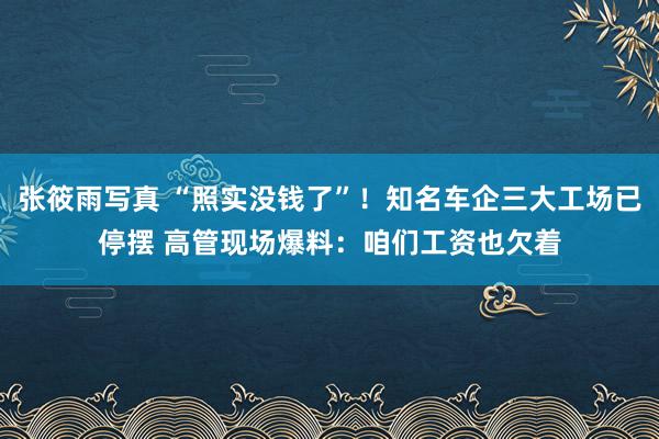 张筱雨写真 “照实没钱了”！知名车企三大工场已停摆 高管现场爆料：咱们工资也欠着