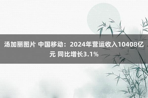 汤加丽图片 中国移动：2024年营运收入10408亿元 同比增长3.1%