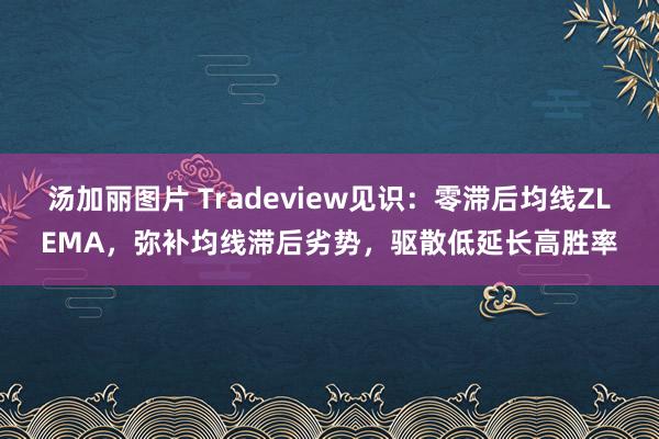 汤加丽图片 Tradeview见识：零滞后均线ZLEMA，弥补均线滞后劣势，驱散低延长高胜率