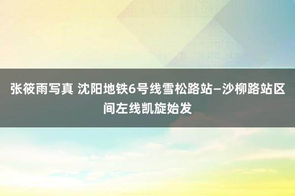 张筱雨写真 沈阳地铁6号线雪松路站—沙柳路站区间左线凯旋始发