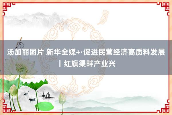汤加丽图片 新华全媒+·促进民营经济高质料发展丨红旗渠畔产业兴
