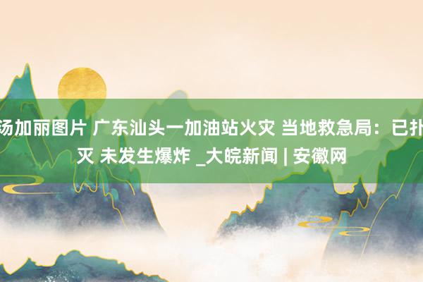 汤加丽图片 广东汕头一加油站火灾 当地救急局：已扑灭 未发生爆炸 _大皖新闻 | 安徽网