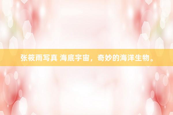 张筱雨写真 海底宇宙，奇妙的海洋生物。