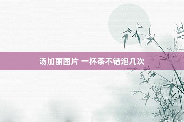 汤加丽图片 一杯茶不错泡几次