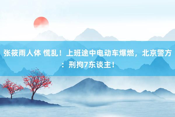 张筱雨人体 慌乱！上班途中电动车爆燃，北京警方：刑拘7东谈主！