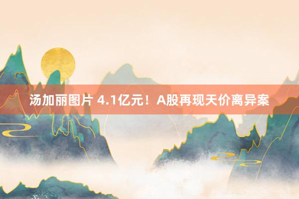 汤加丽图片 4.1亿元！A股再现天价离异案
