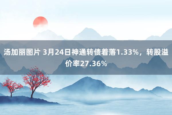 汤加丽图片 3月24日神通转债着落1.33%，转股溢价率27.36%