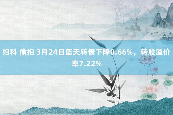 妇科 偷拍 3月24日蓝天转债下降0.66%，转股溢价率7.22%