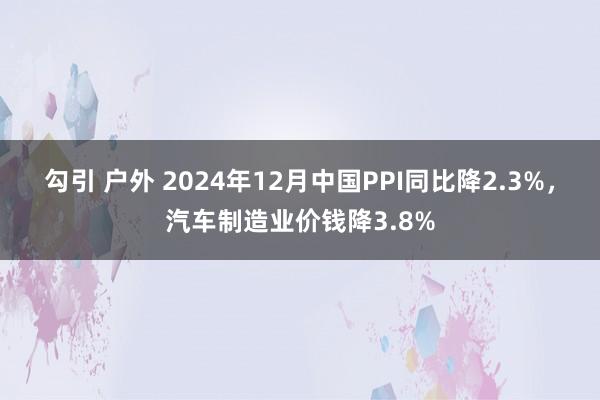 勾引 户外 2024年12月中国PPI同比降2.3%，汽车制造业价钱降3.8%
