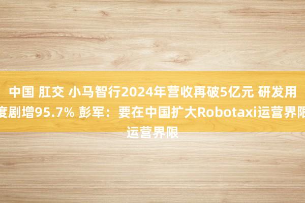 中国 肛交 小马智行2024年营收再破5亿元 研发用度剧增95.7% 彭军：要在中国扩大Robotaxi运营界限