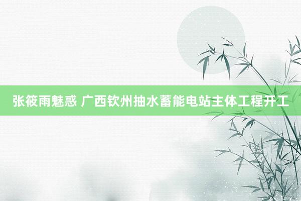 张筱雨魅惑 广西钦州抽水蓄能电站主体工程开工