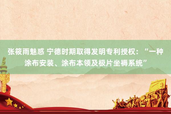 张筱雨魅惑 宁德时期取得发明专利授权：“一种涂布安装、涂布本领及极片坐褥系统”