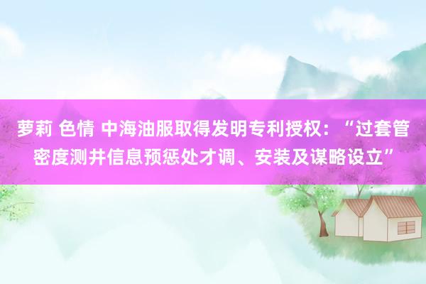 萝莉 色情 中海油服取得发明专利授权：“过套管密度测井信息预惩处才调、安装及谋略设立”