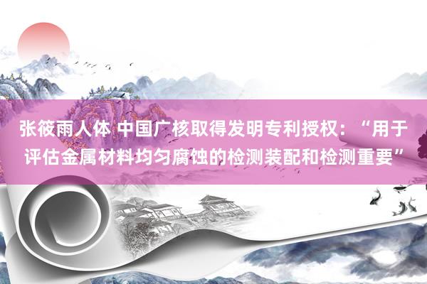 张筱雨人体 中国广核取得发明专利授权：“用于评估金属材料均匀腐蚀的检测装配和检测重要”