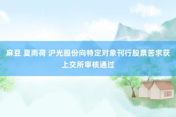 麻豆 夏雨荷 沪光股份向特定对象刊行股票苦求获上交所审核通过