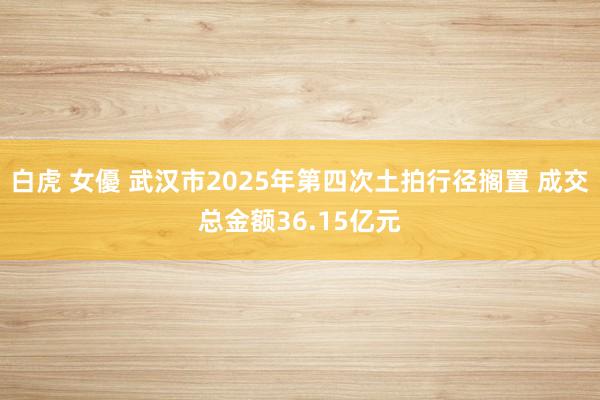 白虎 女優 武汉市2025年第四次土拍行径搁置 成交总金额36.15亿元