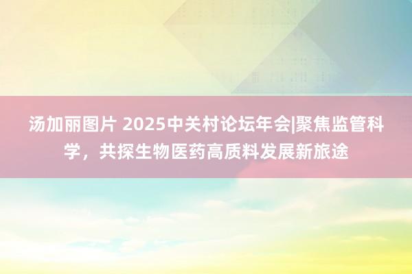 汤加丽图片 2025中关村论坛年会|聚焦监管科学，共探生物医药高质料发展新旅途