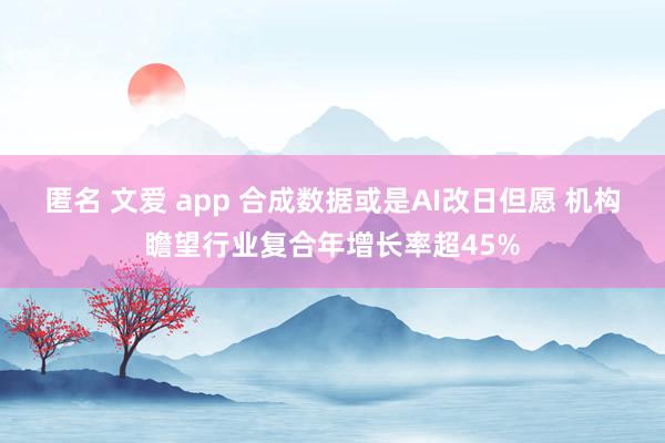 匿名 文爱 app 合成数据或是AI改日但愿 机构瞻望行业复合年增长率超45%