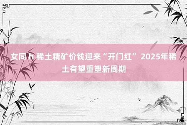 女同 h 稀土精矿价钱迎来“开门红” 2025年稀土有望重塑新周期