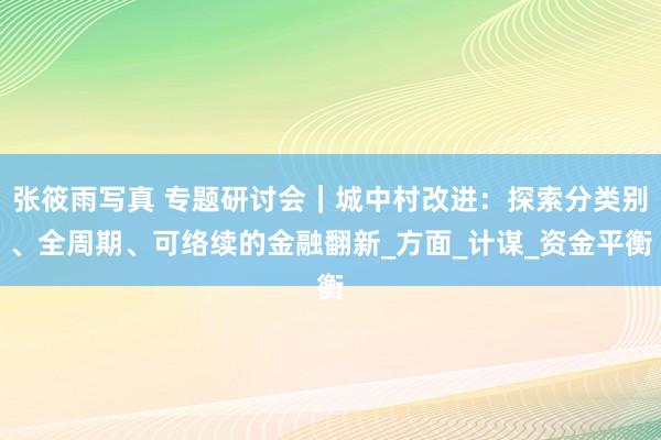 张筱雨写真 专题研讨会｜城中村改进：探索分类别、全周期、可络续的金融翻新_方面_计谋_资金平衡