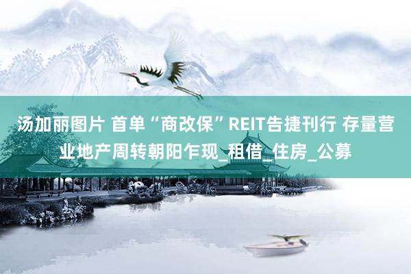 汤加丽图片 首单“商改保”REIT告捷刊行 存量营业地产周转朝阳乍现_租借_住房_公募