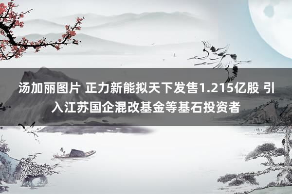 汤加丽图片 正力新能拟天下发售1.215亿股 引入江苏国企混改基金等基石投资者