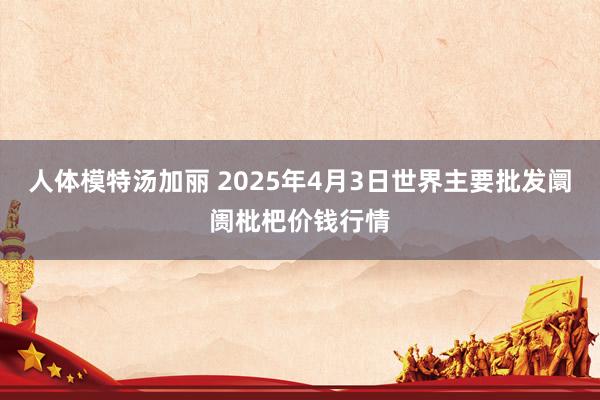 人体模特汤加丽 2025年4月3日世界主要批发阛阓枇杷价钱行情