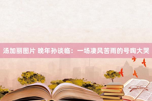 汤加丽图片 晚年孙谈临：一场凄风苦雨的号啕大哭